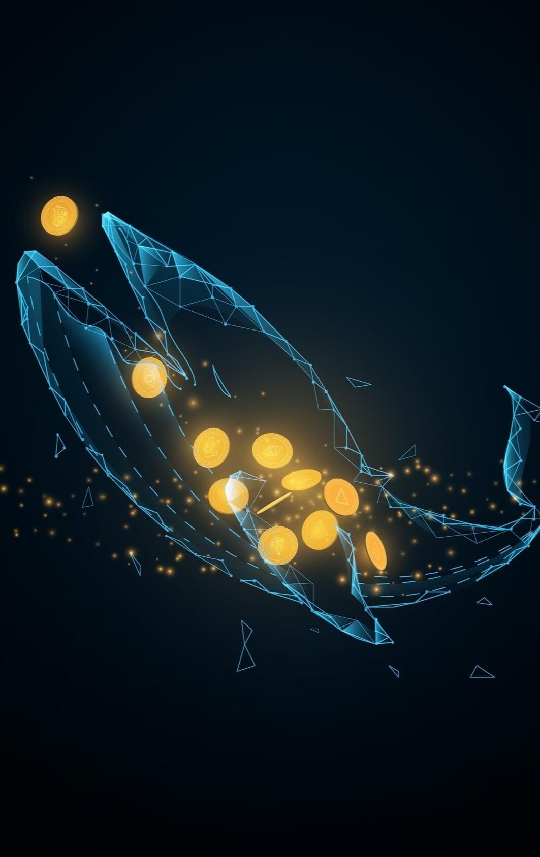 Baleia cripto: como esse investidor pode afetar o mercado?